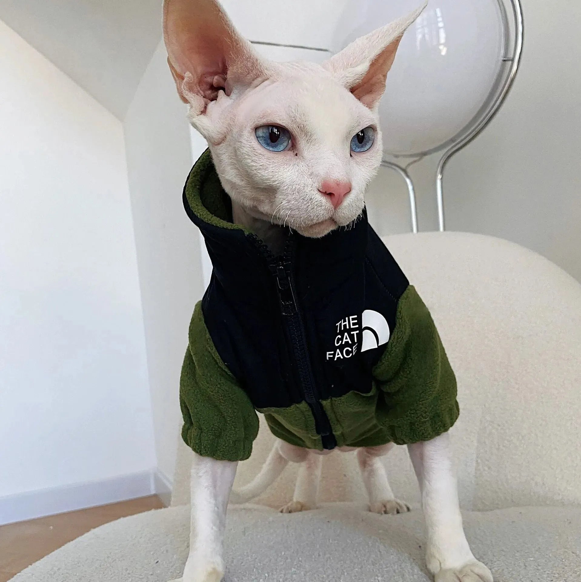Hairless Cat Clothes Warm Pet Cat Clothes - Bellarte Enchanté Hairless Cat Clothes Warm Pet Cat Clothes